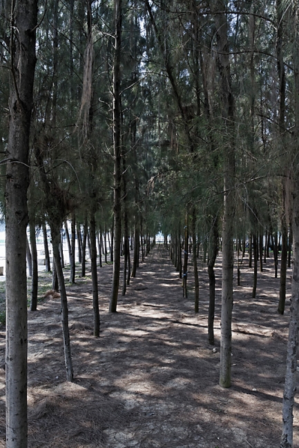 Wat Phra Dhammakaya-035